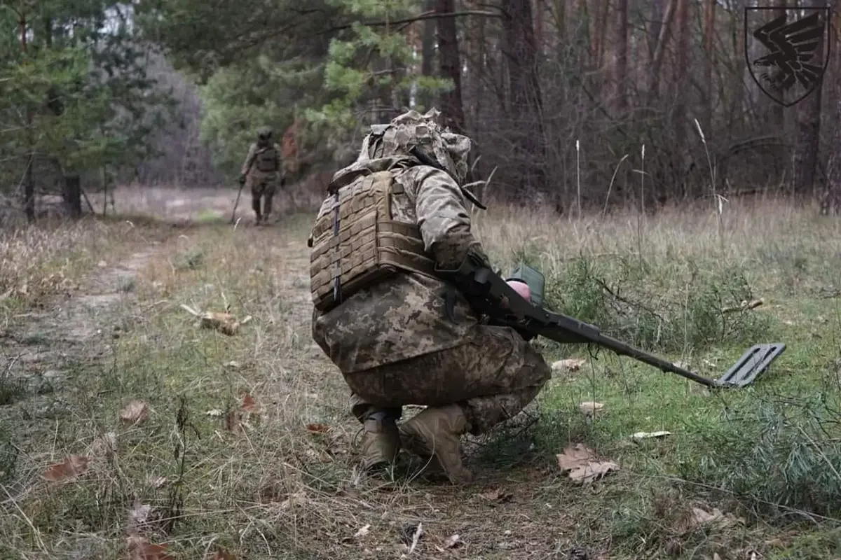 Міношукачі постійно сигналять: історії саперів із лісів Донбасу