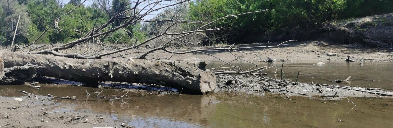 Якість води на Монастирському острові у Дніпрі: фізико-хімічний стан