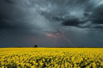 Україну накриє одразу три циклони Xan, Ventur і Wenzeslaus: прогноз погоди на 2 серпня в Дніпрі 