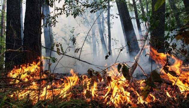 На Дніпропетровщині оголошено про небезпечне метеорологічне явище: подробиці 