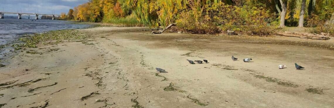 Знизився рівень води в Дніпрі: що трапилося з річкою 