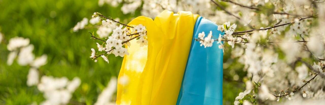 З сиреною, але без обстрілів: ситуація на Дніпропетровщині станом на ранок 