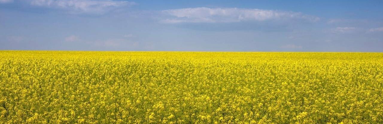 Ніч на Дніпропетровщині минула з сигналами тривоги і з загрозою атаки дронами: ситуація в регіоні станом на ранок 