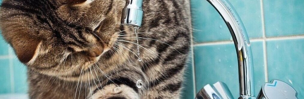 Чому в Дніпрі немає води: адреси відключень та коли з'явиться 