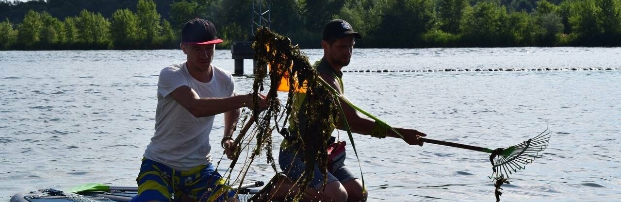 У Дніпрі на каяках очистили берег від водоростей, які перетворять в компост, - ФОТО