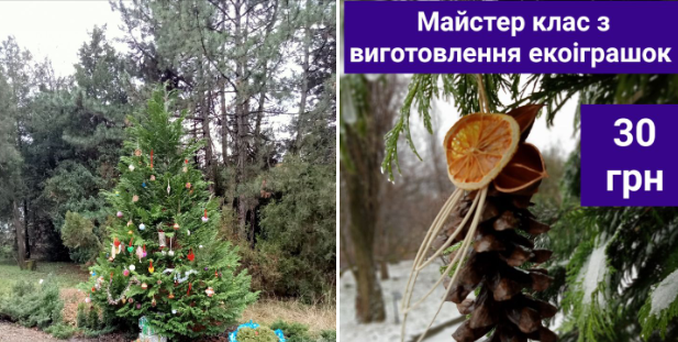 У ботсаду Дніпра проведуть майстер-клас з виготовлення екоіграшок та прикрасять ялинку