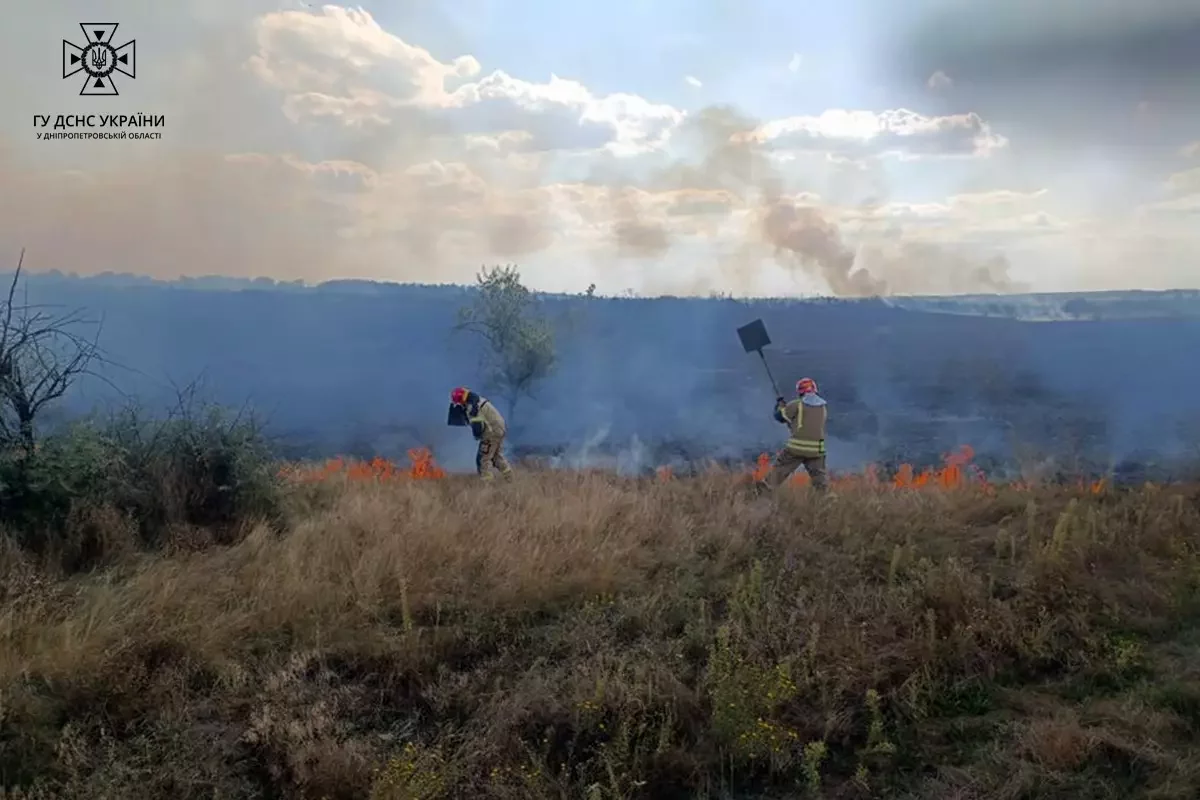 Згоріло понад 20 га: на Дніпропетровщині за добу ліквідували 37 пожеж в екосистемах