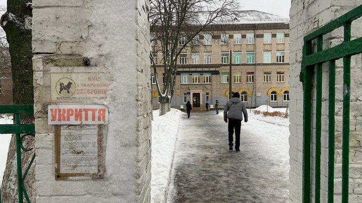 Не пускають в укриття з собакою під час тривоги в Україні: що робити, коли закон не захищає