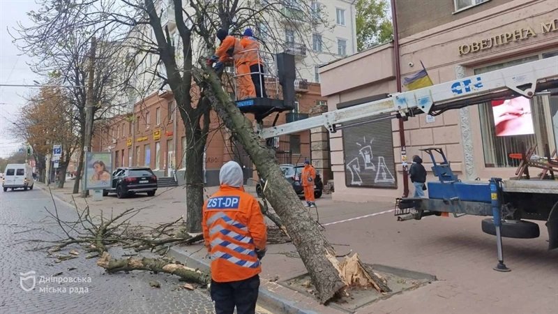 Вітер атакує Дніпро: скільки завалено дерев та обірвано електроліній