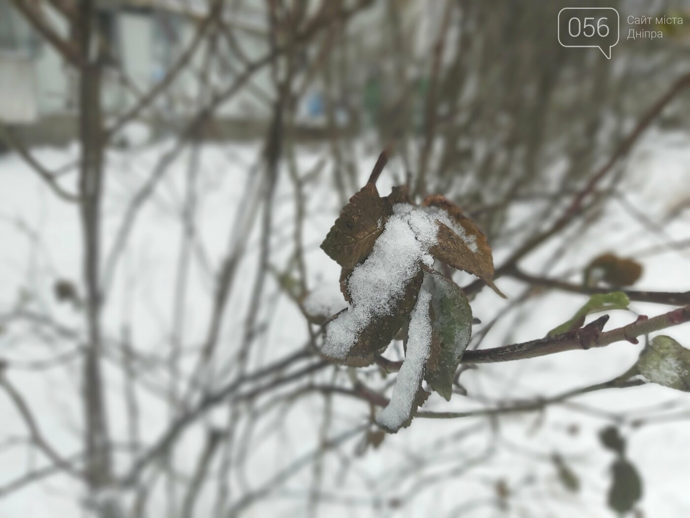 Зима по-днепровски: красота снежного города в деталях, - ФОТО, фото-4 Зима по-днепровски: красота снежного города в деталях, - ФОТО, фото-4