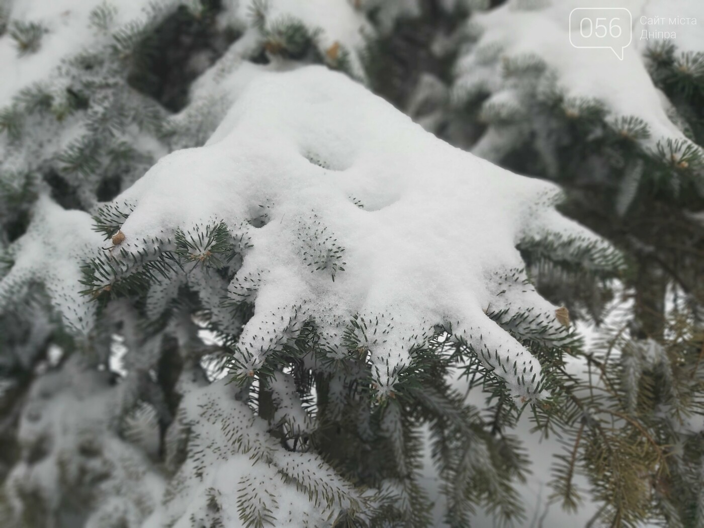 Зима по-днепровски: красота снежного города в деталях, - ФОТО, фото-2 Зима по-днепровски: красота снежного города в деталях, - ФОТО, фото-2