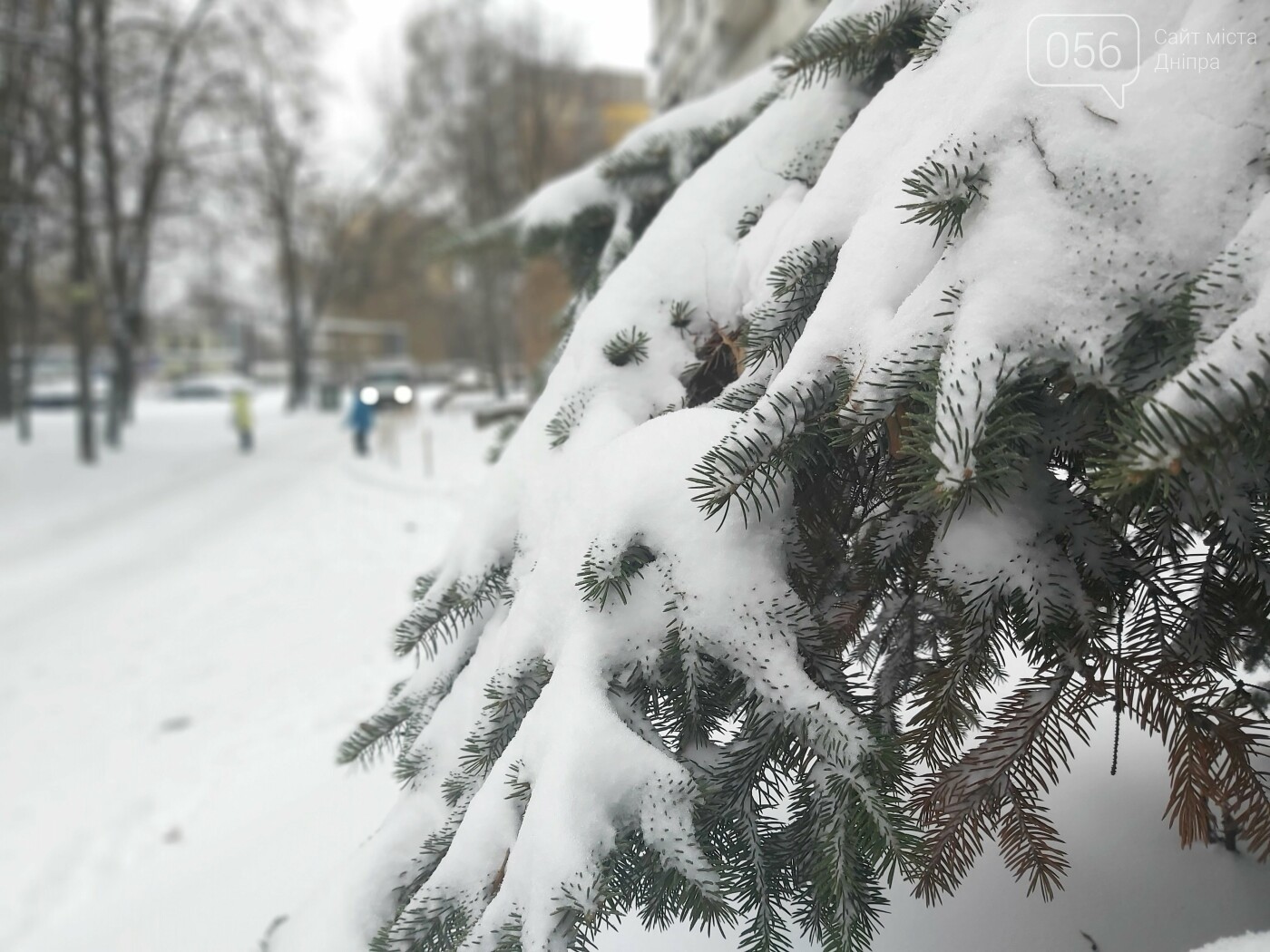 Зима по-днепровски: красота снежного города в деталях, - ФОТО, фото-8 Зима по-днепровски: красота снежного города в деталях, - ФОТО, фото-8
