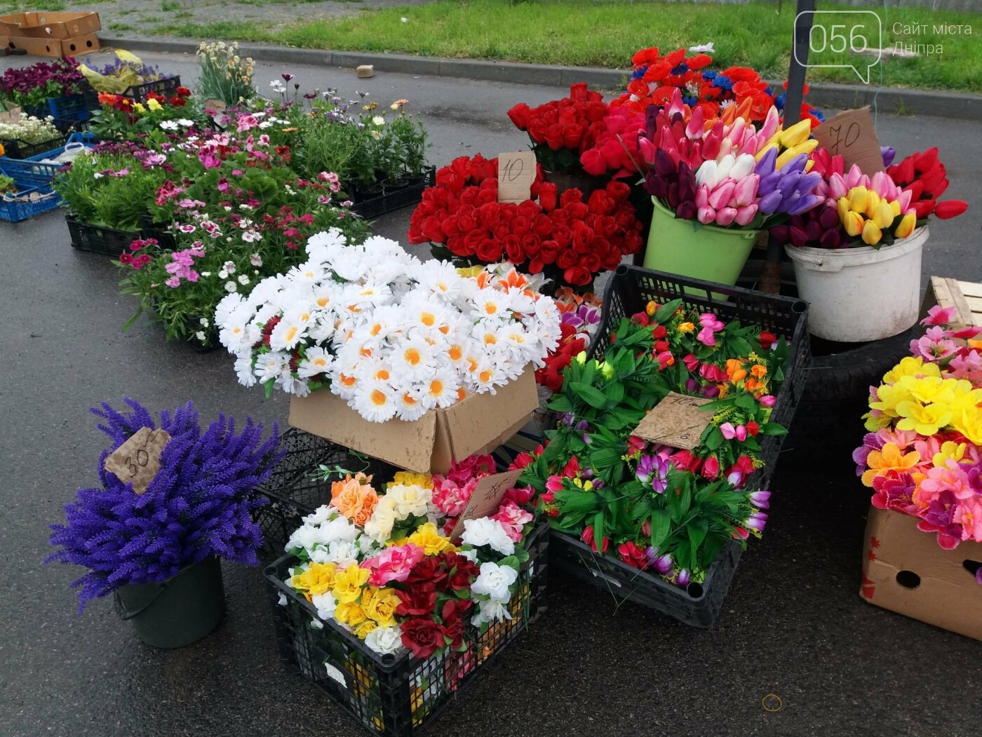 В Днепре произвели зачистку от пластиковой ритуальной атрибутики, - ФОТО, фото-8