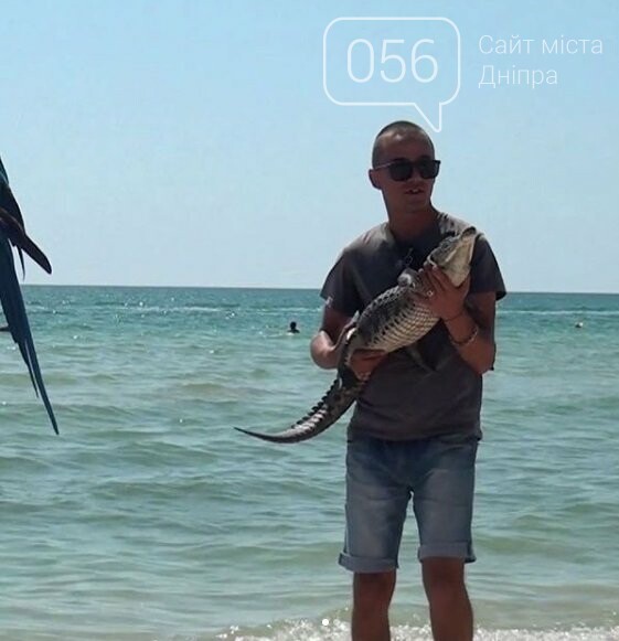 На море, куда ездят большинство днепрян, нашли жуткие находки, - ФОТО 18+, фото-2