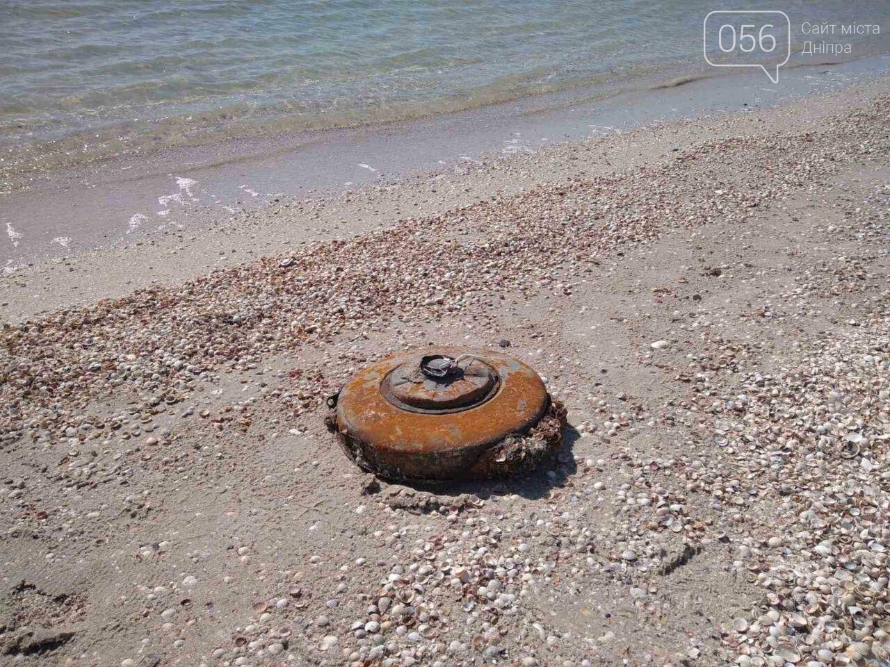 На море, куда ездят большинство днепрян, нашли жуткие находки, - ФОТО 18+, фото-4