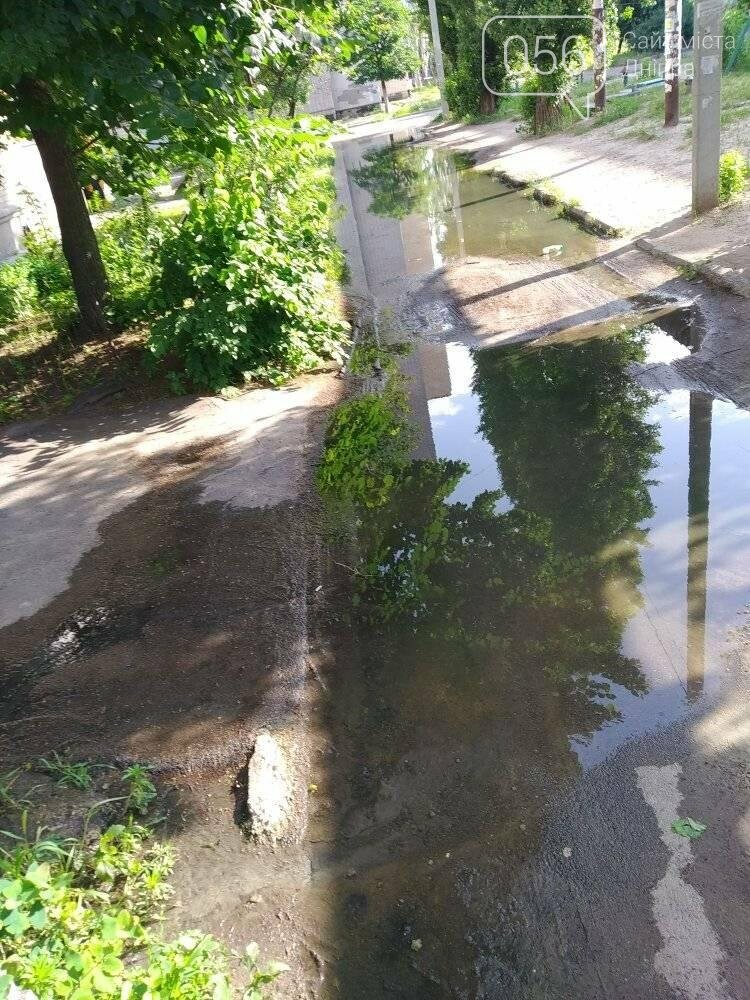 Канализационный беспредел в Днепре: отходы текут прямо по улице, фото-1