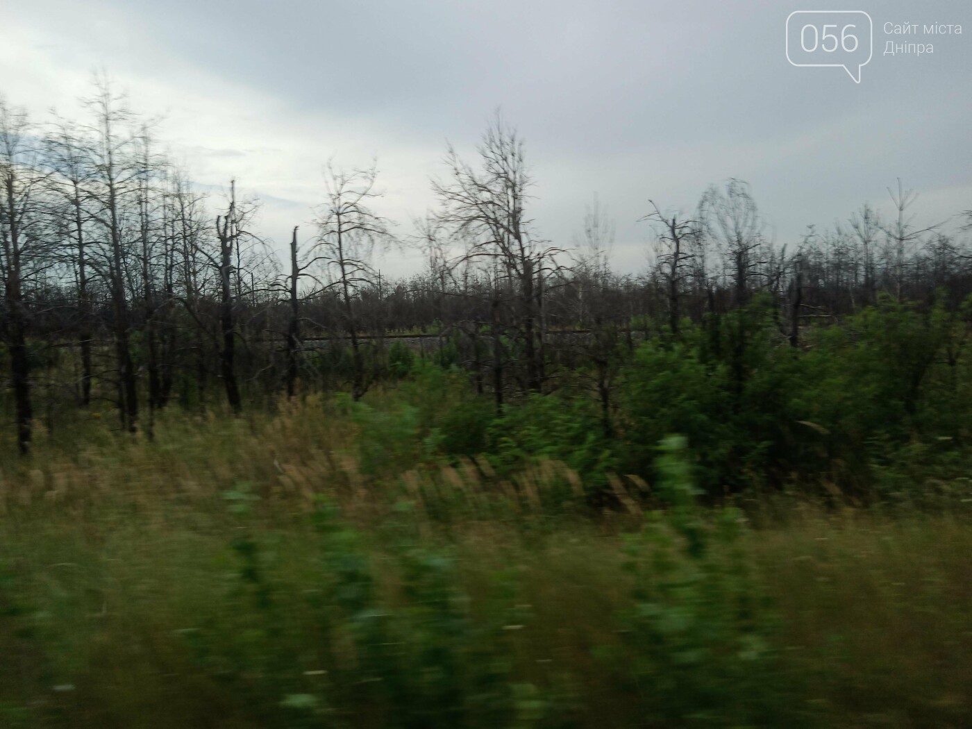 Минус пара кед и брюк: путешествие одного днепрянина в Чернобыль, - ФОТО, ВИДЕО, фото-94