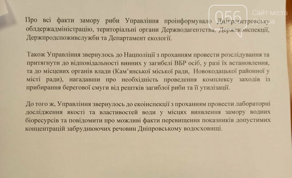 Жаркая погода, застой воды и сине-зеленые водоросли: названы причины мора рыбы в Днепре , фото-1