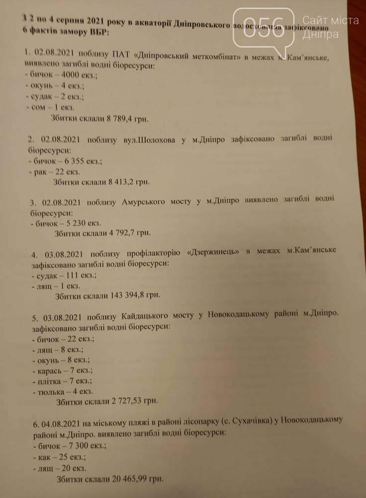 Жаркая погода, застой воды и сине-зеленые водоросли: названы причины мора рыбы в Днепре , фото-2