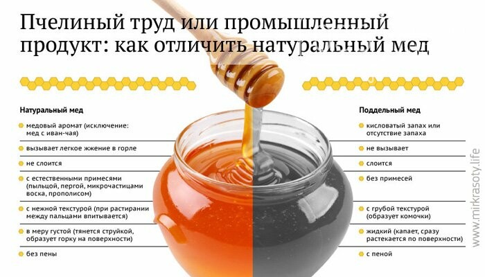 Вся правда про мед, который продается в Днепре: чем может быть опасен фальсификат и как его отличить, - ИНФОГРАФИКА , фото-1
