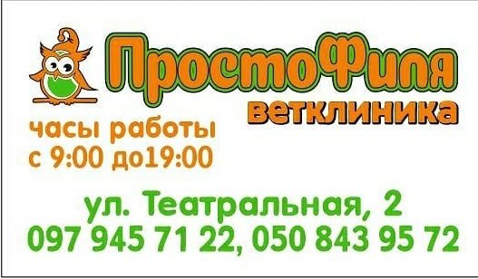 Ветеринарная клиника "ПростоФиля", фото-1 Ветеринарная клиника "ПростоФиля", фото-1
