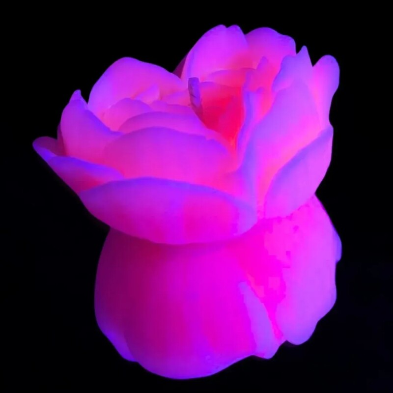 Свічка троянда люмінісцентна GlowKink 38 г, низькотемпературна, M, для БДСМ, персикова - Зображення 3