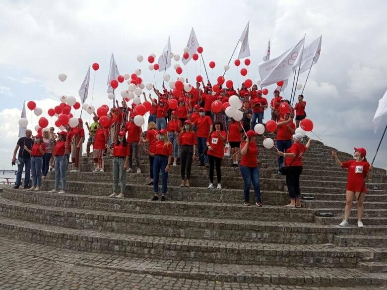 Виктория фестивальная фото с описанием