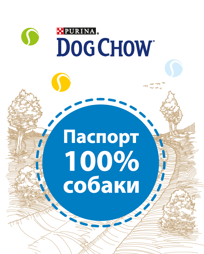 Purina® Dog Chow®: проверь свою собаку на «собачность», фото-3 Purina® Dog Chow®: проверь свою собаку на «собачность», фото-3