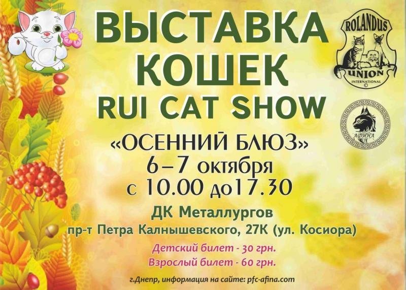 Как провести уикенд в Днепре: uCRAZYans, выставки кошек и с..., фото-4 Как провести уикенд в Днепре: uCRAZYans, выставки кошек и собак и эко-суббота, фото-4