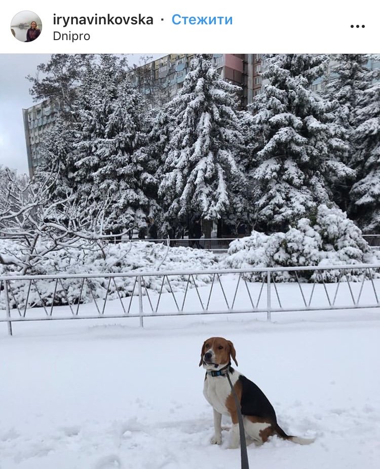 ТОП фотографий первого снега в Днепре от горожан, фото-4 ТОП фотографий первого снега в Днепре от горожан, фото-4