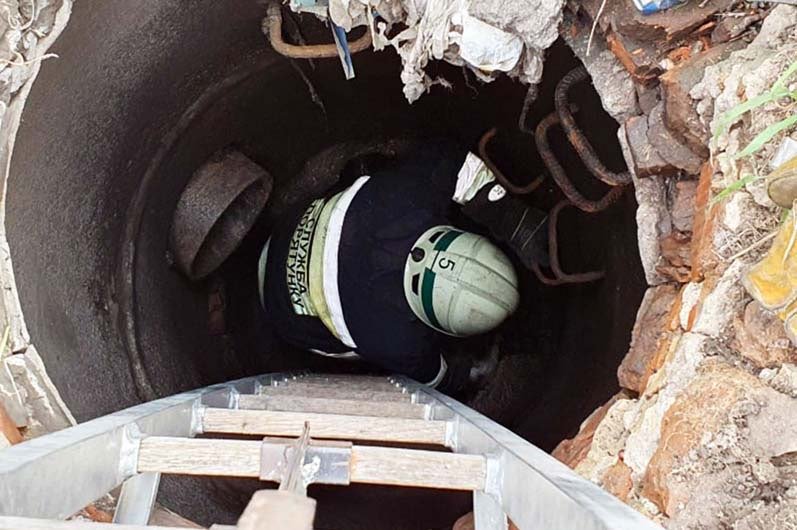 В Днепре спасатели достали маленького щенка из колодца