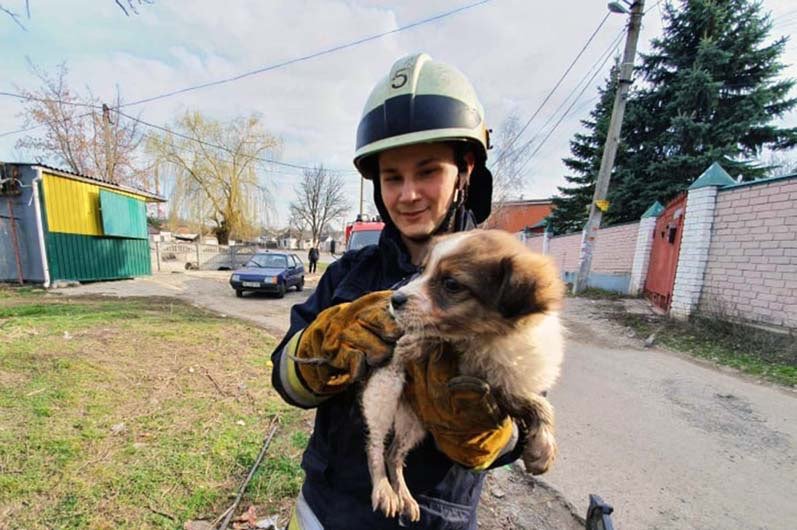 В Днепре спасатели достали маленького щенка из колодца