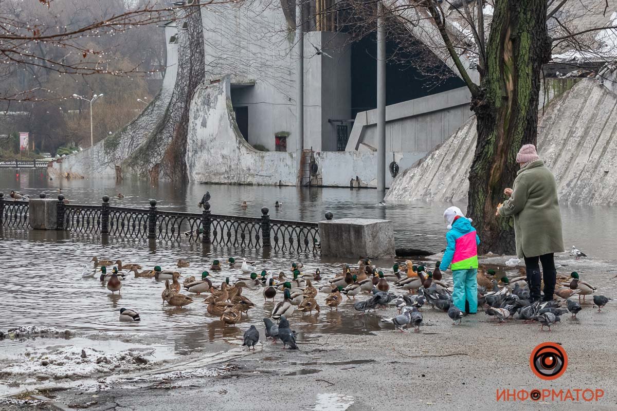 В Днепре затопило парк Глобы, фото-1