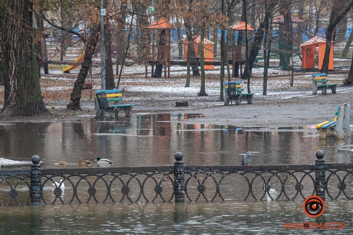 В Днепре затопило парк Глобы, фото-5
