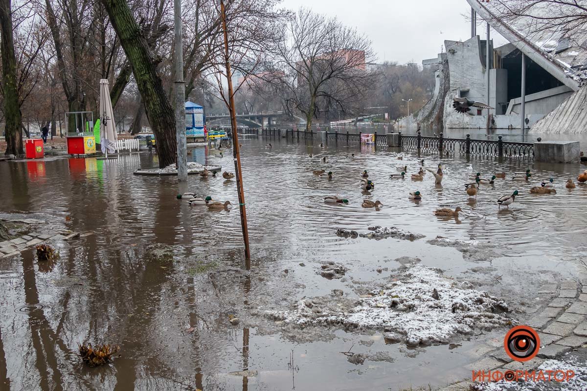 В Днепре затопило парк Глобы, фото-8