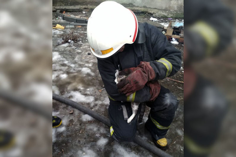 В Павлограде загорелось общежитие, фото-4