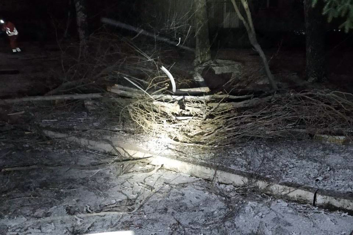 Погодный коллапс в Днепре: все последствия урагана и снегопада в городе, фото-3