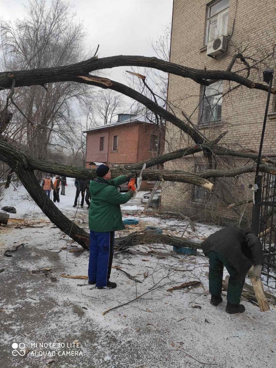 Погодный коллапс в Днепре: все последствия урагана и снегопада в городе, фото-9