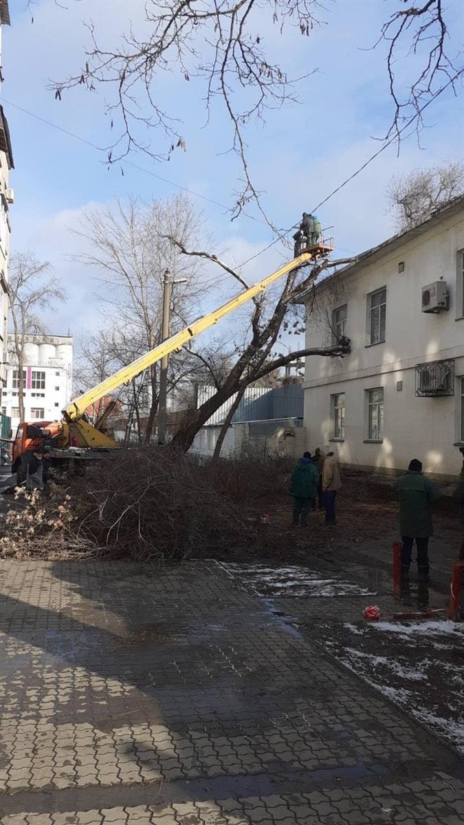 Погодный коллапс в Днепре: все последствия урагана и снегопада в городе, фото-8