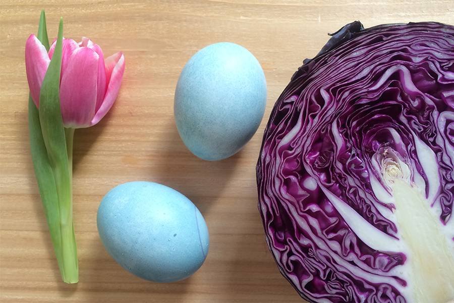 В Днепре окрасить яйца натуральными продуктами легко: способы и принципы, фото-1