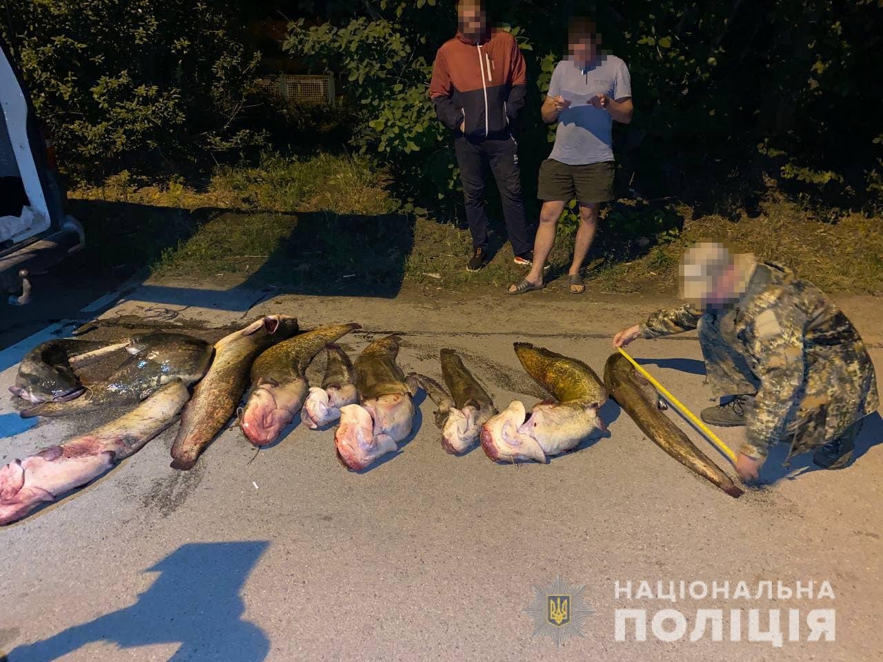 У семейства браконьеров из Днепропетровщины изъяли пять тонн рыбы, фото-4