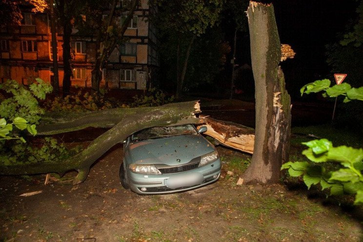 В Днепре автомобиль придавило большое дерево, фото-1