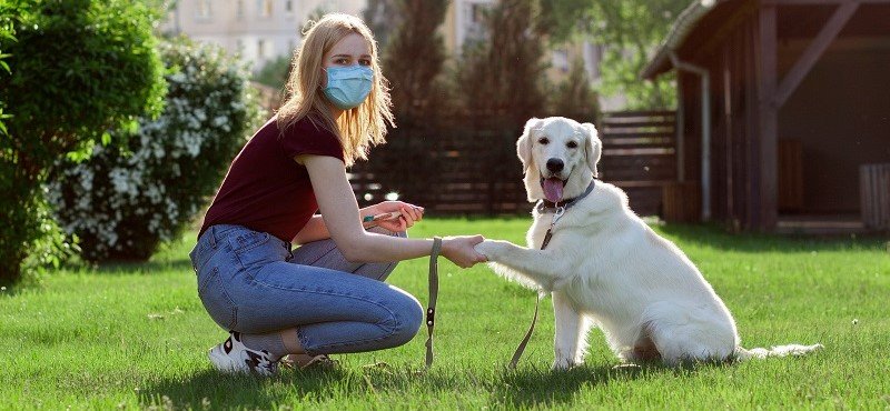 Работа в Днепре с ежедневной оплатой: ТОП "горячих" вакансий этого лета , фото-1