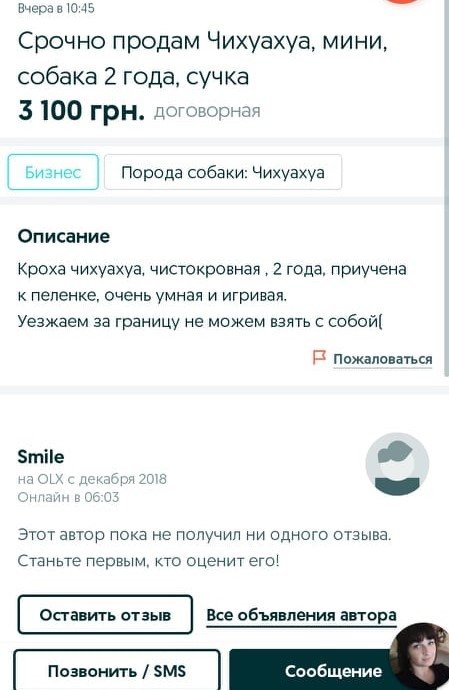 У жительницы Днепра похитили собаку и пытались продать на OLX: подробности, фото-1