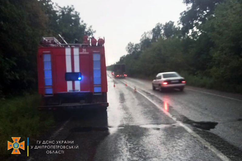 В Днепре и области поваленные деревья частично преградили движение транспорта, фото-4