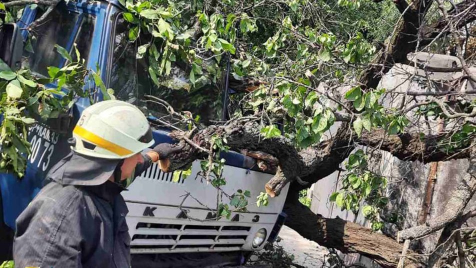 В Днепре на кабину едущего грузовика упало большое дерево, - ФОТО, фото-1