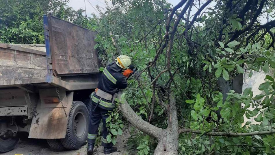 В Днепре на кабину едущего грузовика упало большое дерево, - ФОТО, фото-2
