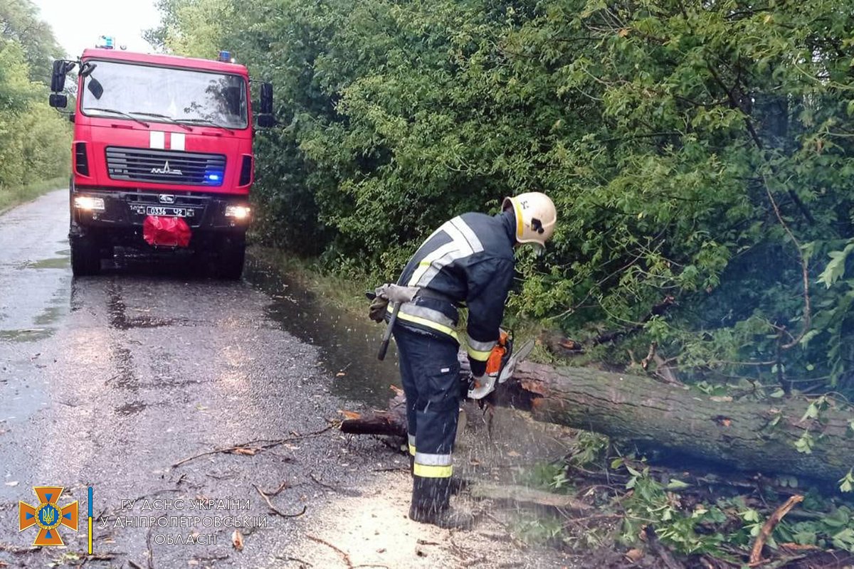 На Днепропетровщине спасатели весь вечер убирали деревья, которые падали на проезжую часть, - ФОТО, фото-1