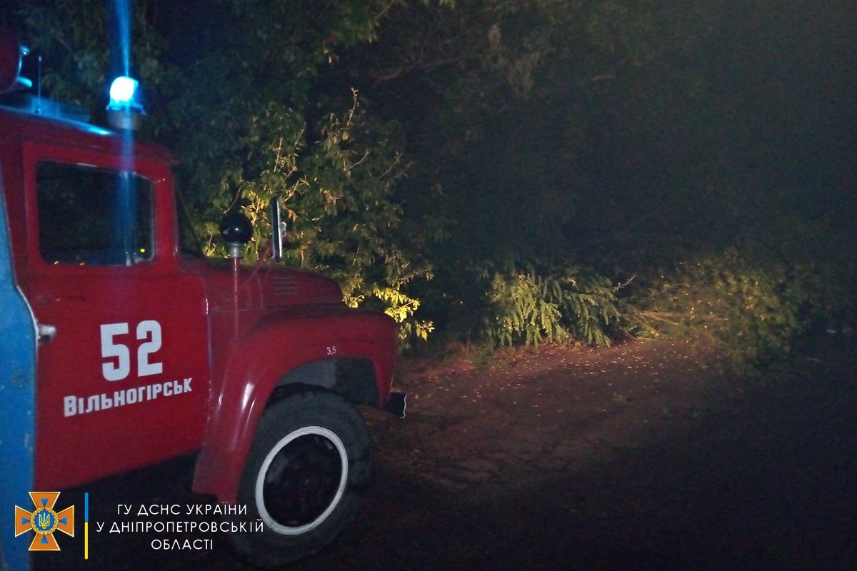 На Днепропетровщине спасатели весь вечер убирали деревья, которые падали на проезжую часть, - ФОТО, фото-2