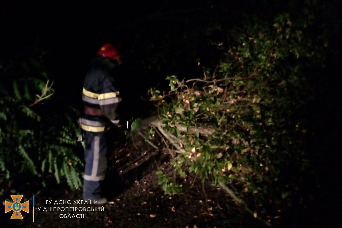 На Днепропетровщине спасатели весь вечер убирали деревья, которые падали на проезжую часть, - ФОТО, фото-3